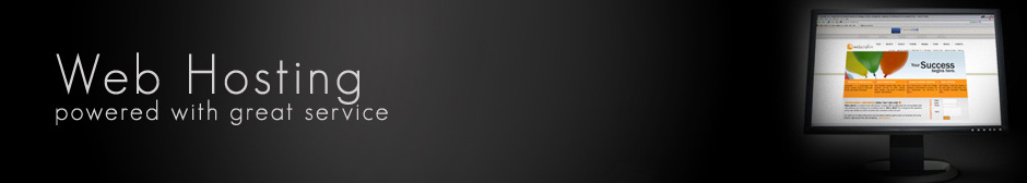 Web Hosting in Kadapa